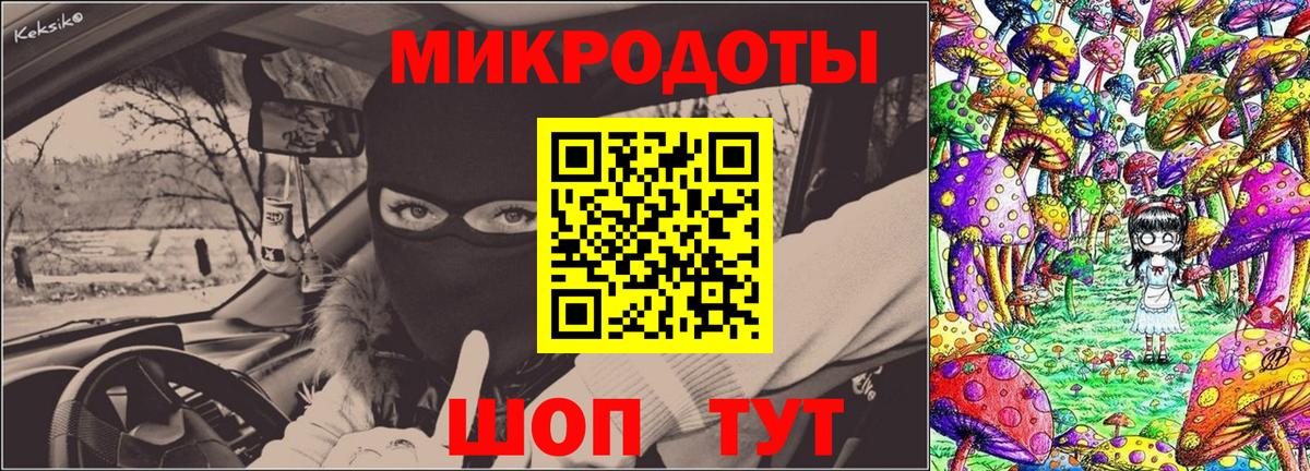 Гагарин  Псилоцибиновые грибы Psilocybe  Вход с VPN 